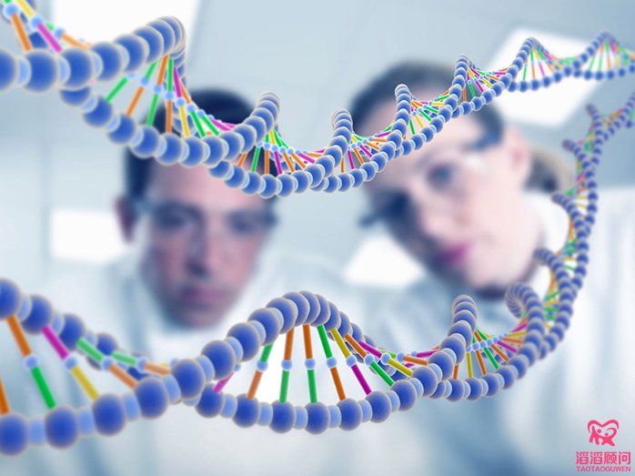 俄罗斯试管婴儿基因筛查与性别识别准确率，能否达到100%？