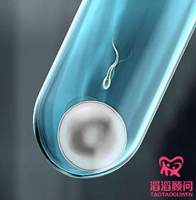 少精症能做试管婴儿吗？