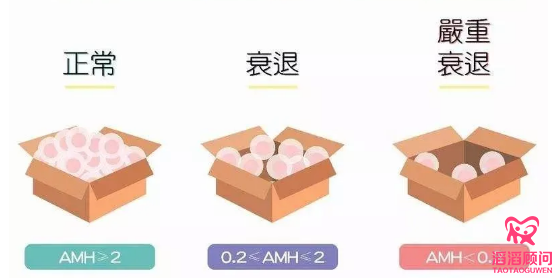 AMH是个啥？为什么人人都要查？