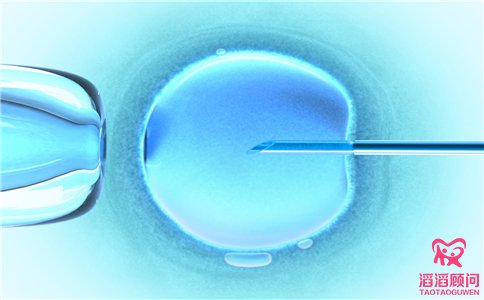 做试管婴儿前怎么提高卵子质量？