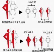 34岁张女士地中海贫血隐形基因 俄罗斯试管婴儿好孕