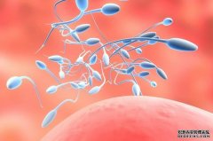 男人精子能吃吗?