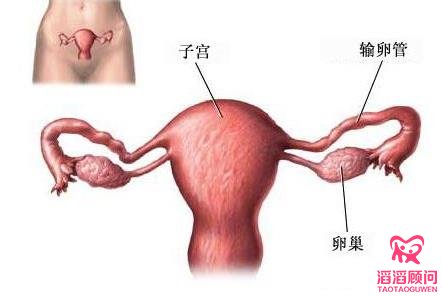 输卵管堵塞怎么做通水才有效吗?