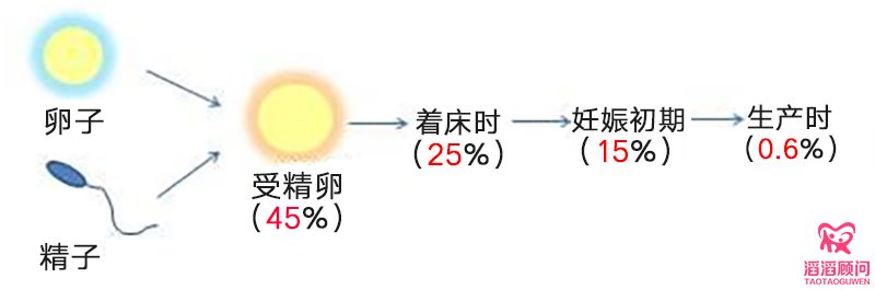 染色体异常