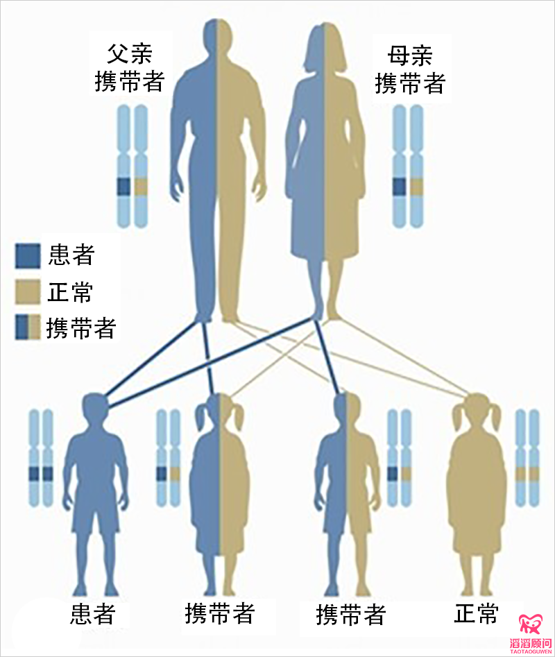 隐性遗传病