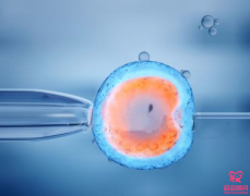 做三代试管婴儿胚胎移植之前要做宫腔镜吗？