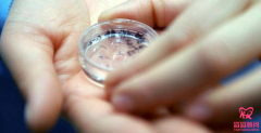 俄罗斯三代试管为什么基本移植冻胚？