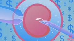 吉尔吉斯斯坦三代试管会影响健康吗？会不会造成卵巢早衰？